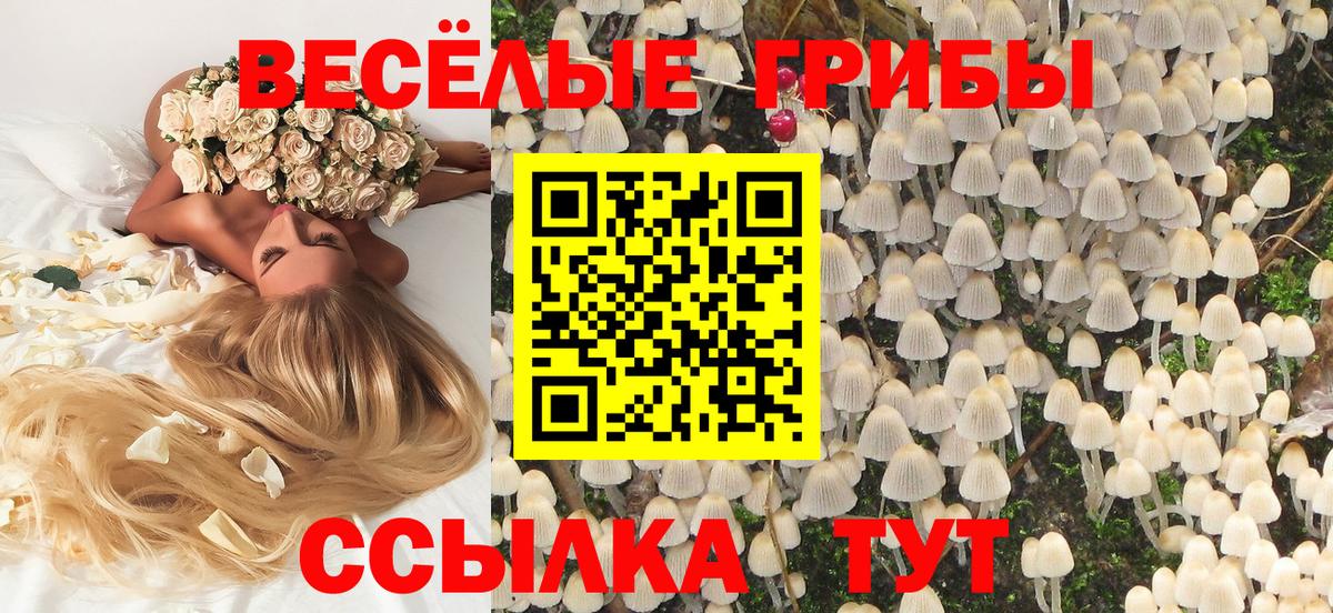 Псилоцибиновые грибы MAGIC MUSHROOMS Нефтекамск