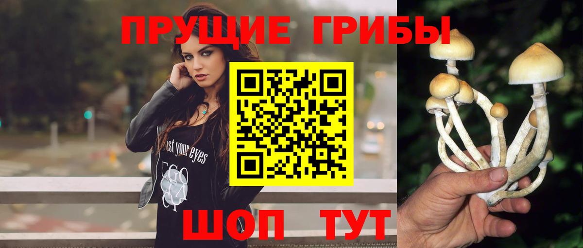 Псилоцибиновые грибы Psilocybe  Вход с VPN  Нефтекамск  Галлюциногенные грибы Psilocybine cubensis 